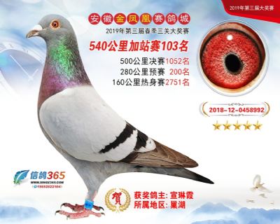 金凤凰加站赛103名
