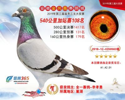 金凤凰加站赛108名