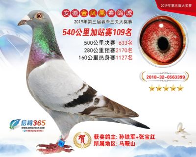 金凤凰加站赛109名