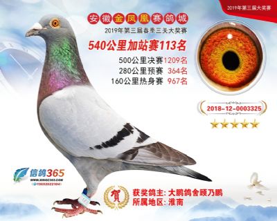 金凤凰加站赛113名