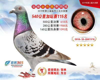 金凤凰加站赛115名