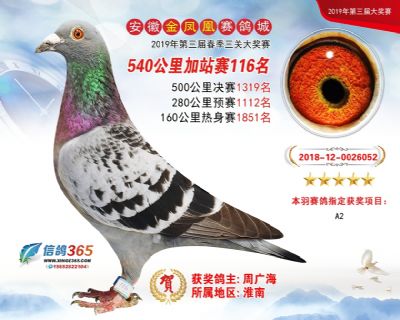 金凤凰加站赛116名