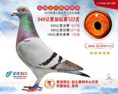 金凤凰加站赛122名