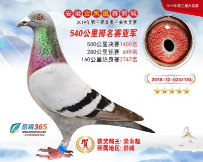 金凤凰排名赛亚军