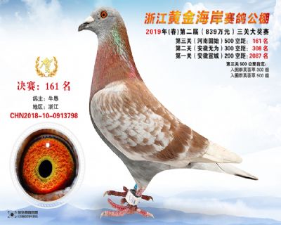 黃金海岸決賽161名
