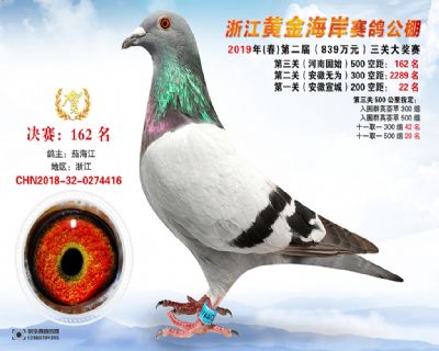 黃金海岸決賽162名