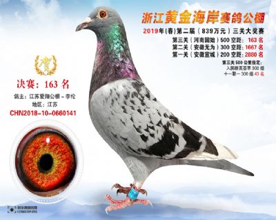 黃金海岸決賽163名