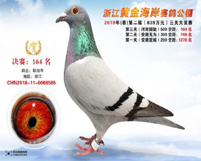 黃金海岸決賽164名