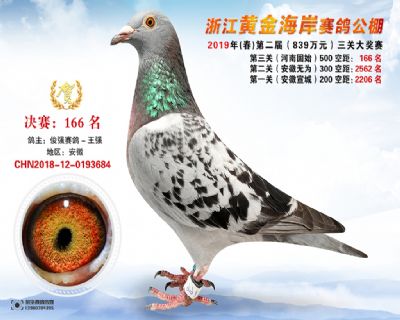 黃金海岸決賽166名
