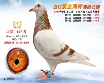黃金海岸決賽167名