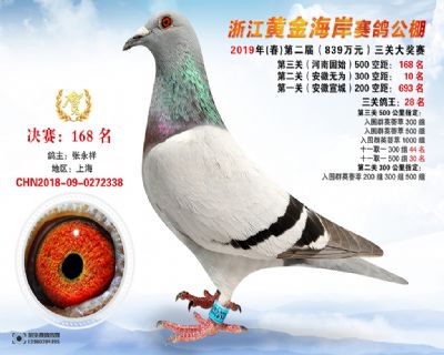 黃金海岸決賽168名