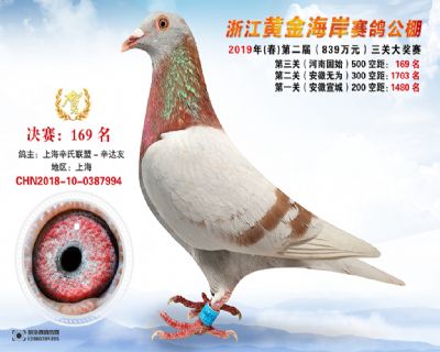 黃金海岸決賽169名