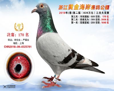 黃金海岸決賽170名