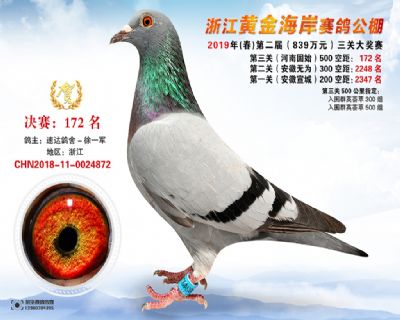 黃金海岸決賽172名
