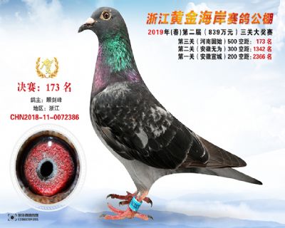 黃金海岸決賽173名