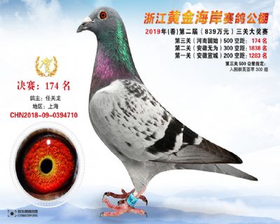 黃金海岸決賽174名