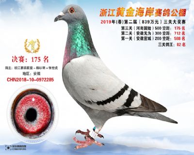 黃金海岸決賽175名