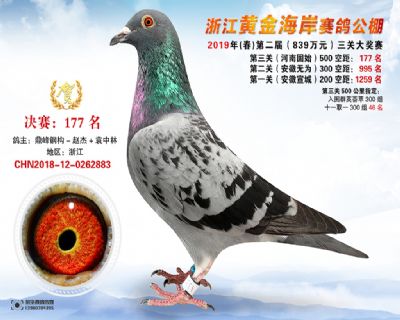 黃金海岸決賽177名
