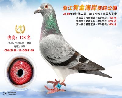 黃金海岸決賽178名