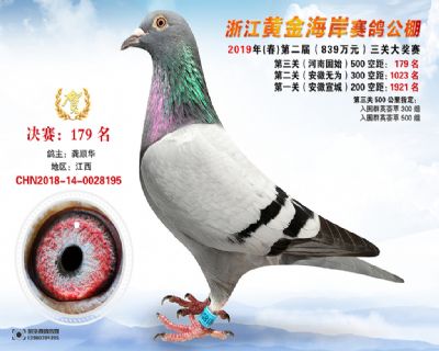 黃金海岸決賽179名