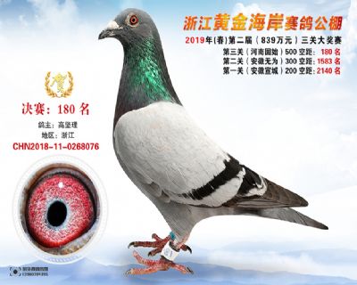 黃金海岸決賽180名