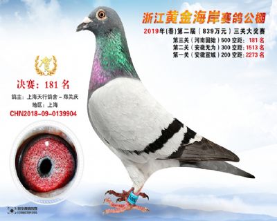黃金海岸決賽181名