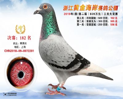 黃金海岸決賽182名