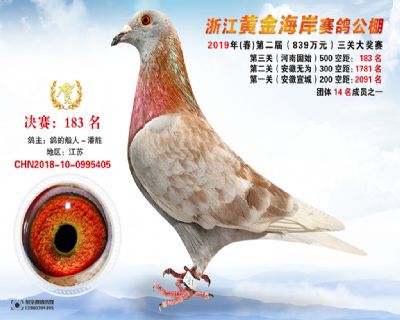 黃金海岸決賽183名