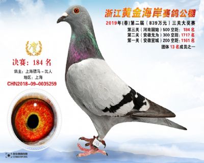 黃金海岸決賽184名