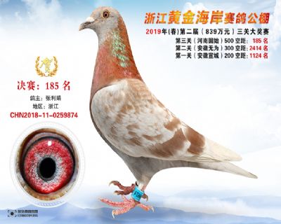 黃金海岸決賽185名