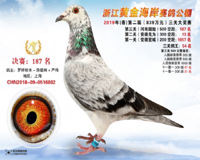 黃金海岸決賽187名