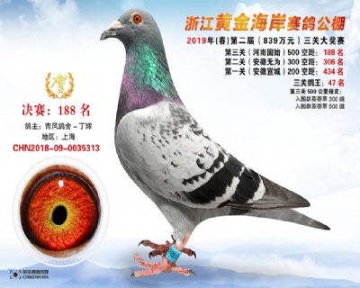 黃金海岸決賽188名