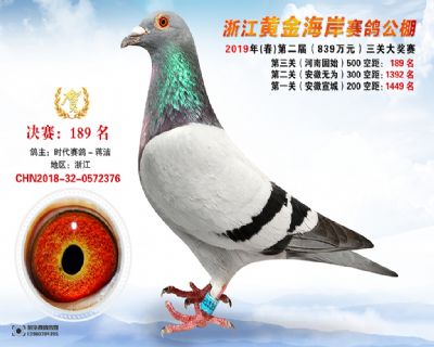 黃金海岸決賽189名