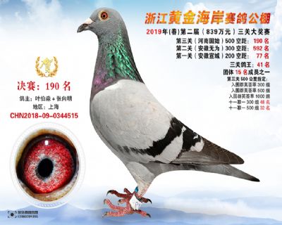 黃金海岸決賽190名