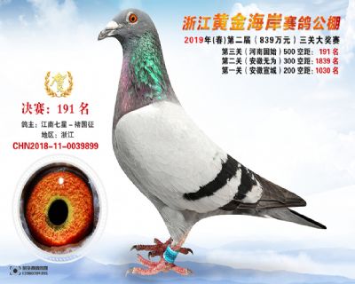 黃金海岸決賽191名