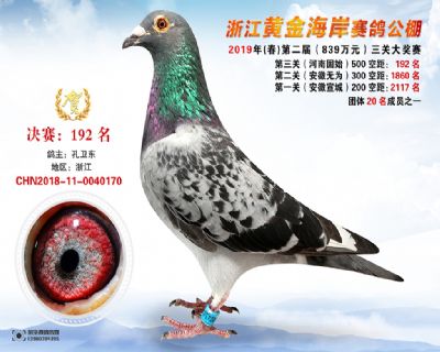 黃金海岸決賽192名