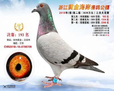 黃金海岸決賽193名