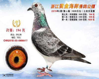 黃金海岸決賽194名