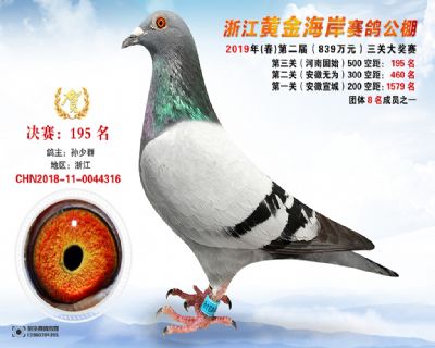 黃金海岸決賽195名