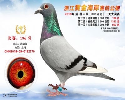 黃金海岸決賽196名