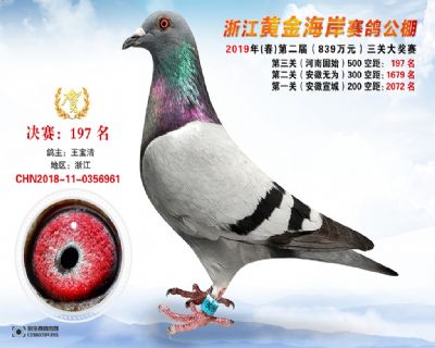 黃金海岸決賽197名