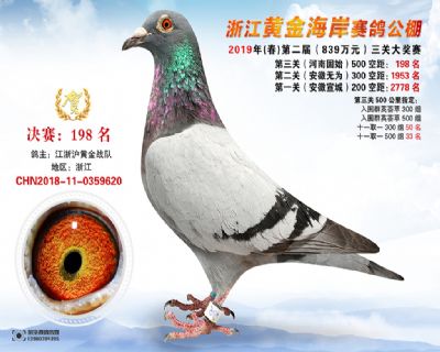 黃金海岸決賽198名