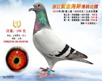 黃金海岸決賽199名