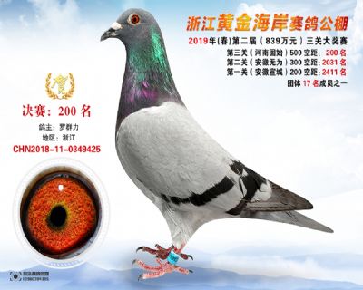 黃金海岸決賽200名