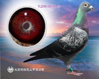 臺灣羅森波斯 蓋比大本營作育