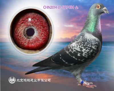 【年輕歐洲皇冠】X國家一號外孫女