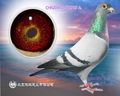 奶酪葛斯頓號全兄弟X快速桑杰士