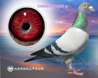 國家一號”近親直孫X聚來冠4名