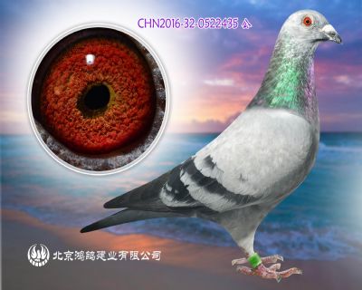 銀影愛羅斯種雄