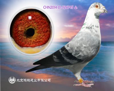 沃斯燕納斯超級種雄